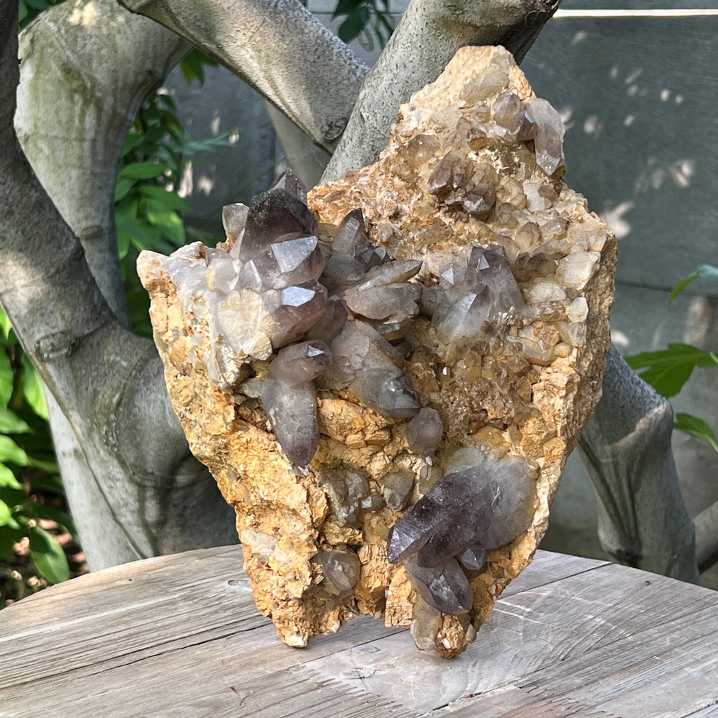 Specimen cluster cuart fumuriu m1, pietre semipretioase - druzy.ro 2 