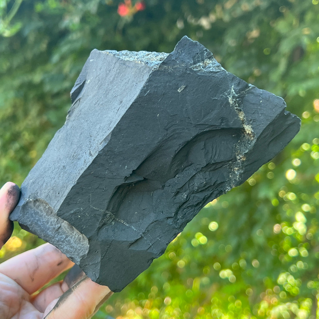 Shungit piatra bruta XXL model 6, pietre semipretioase - druzy.ro 2 