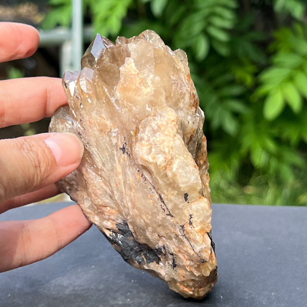Citrin fumuriu din Congo – specimen natural, netratat | Model 6, pietre semipretioase - druzy.ro 6 