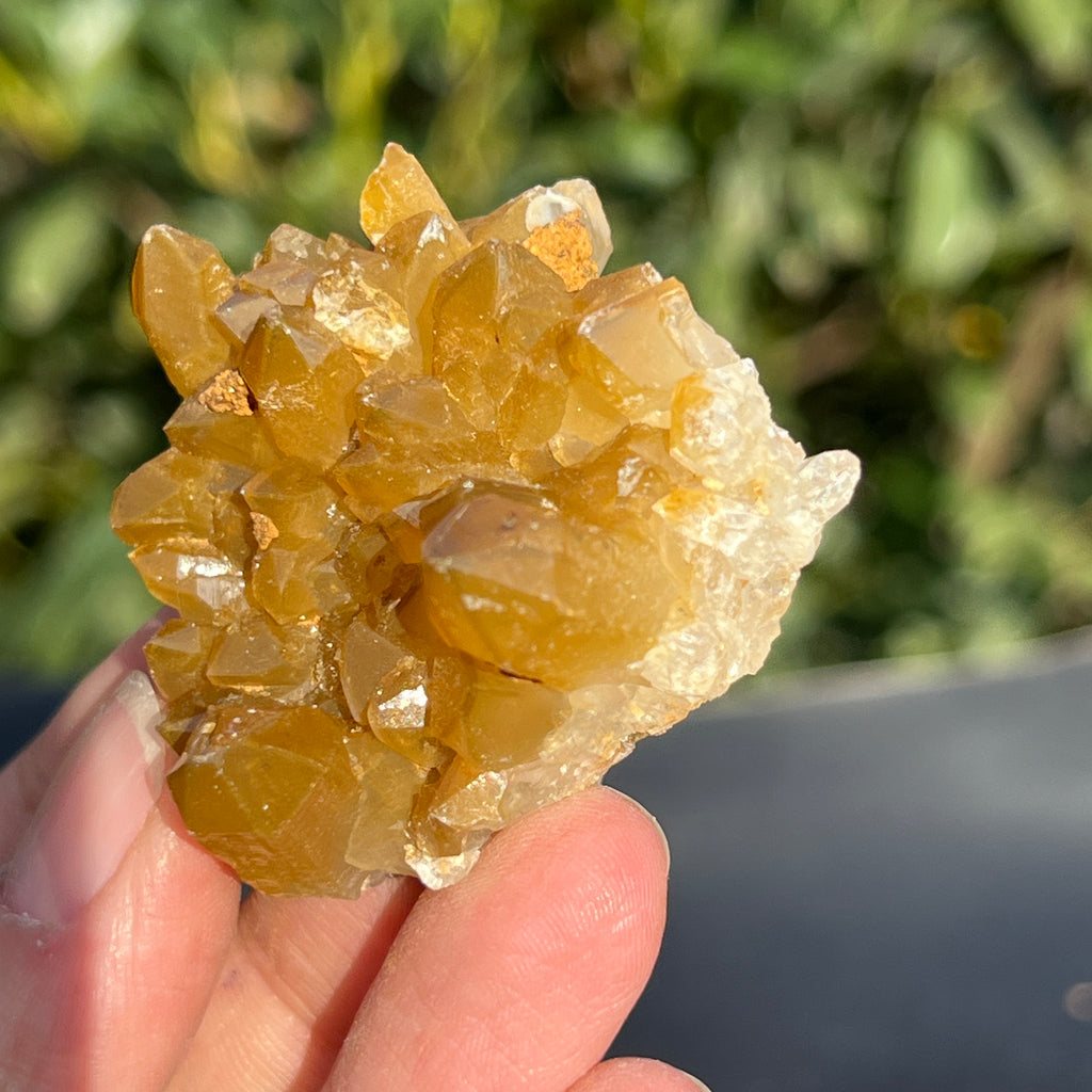 Cluster cuart lamaie Zambia, golden healer model 39, pietre semipretioase - druzy.ro 5 