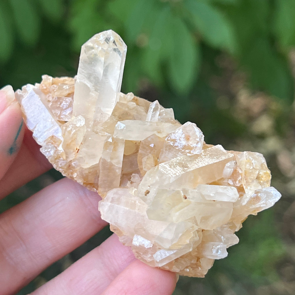 Cluster cuart incolor, floare de mina m14, pietre semipretioase - druzy.ro 3 