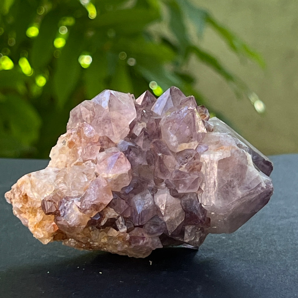 Specimen ametist cuart spirit din Africa de Sud | Model 25, pietre semipretioase - druzy.ro 5 