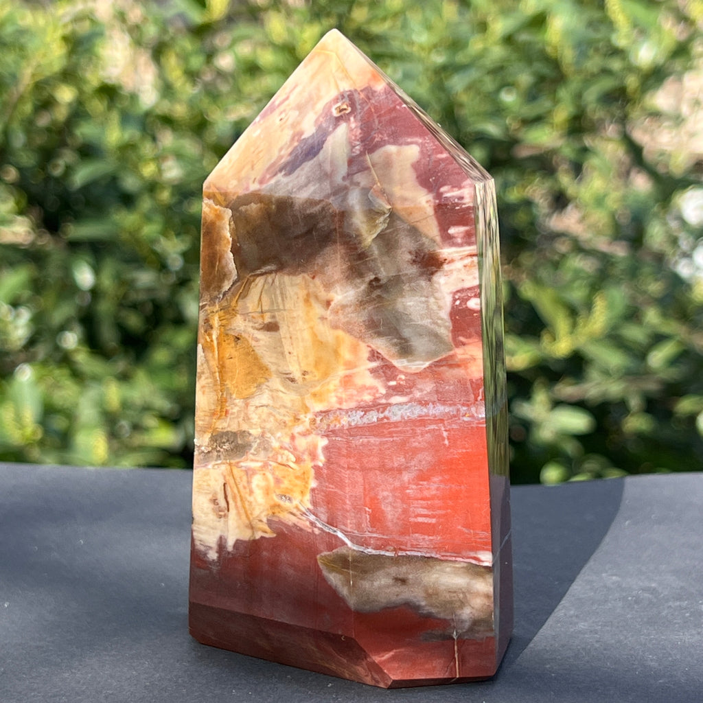 Obelisc lemn pietrificat m1, pietre semipretioase - druzy.ro 4 