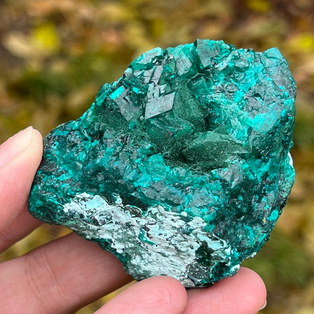 Dioptaz cluster din Congo model 9, pietre semipretioase - druzy.ro 9 