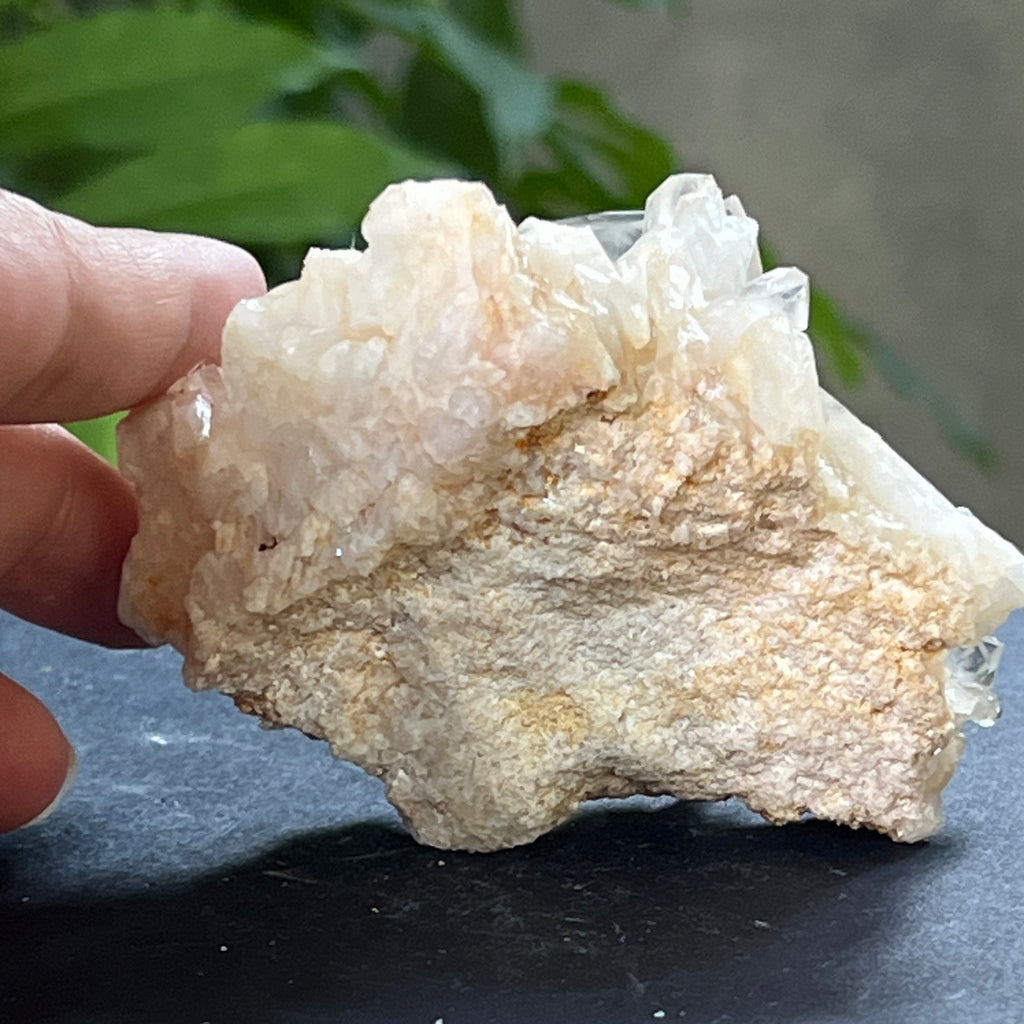 Cluster cuart incolor, floare de mina, cristal de stanca Zimbabwe m11, pietre semipretioase - druzy.ro 2 