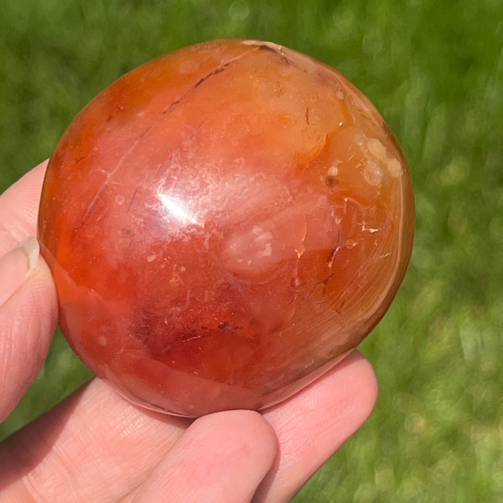 Palmstone carneol m8, pietre semipretioase - druzy.ro 1 