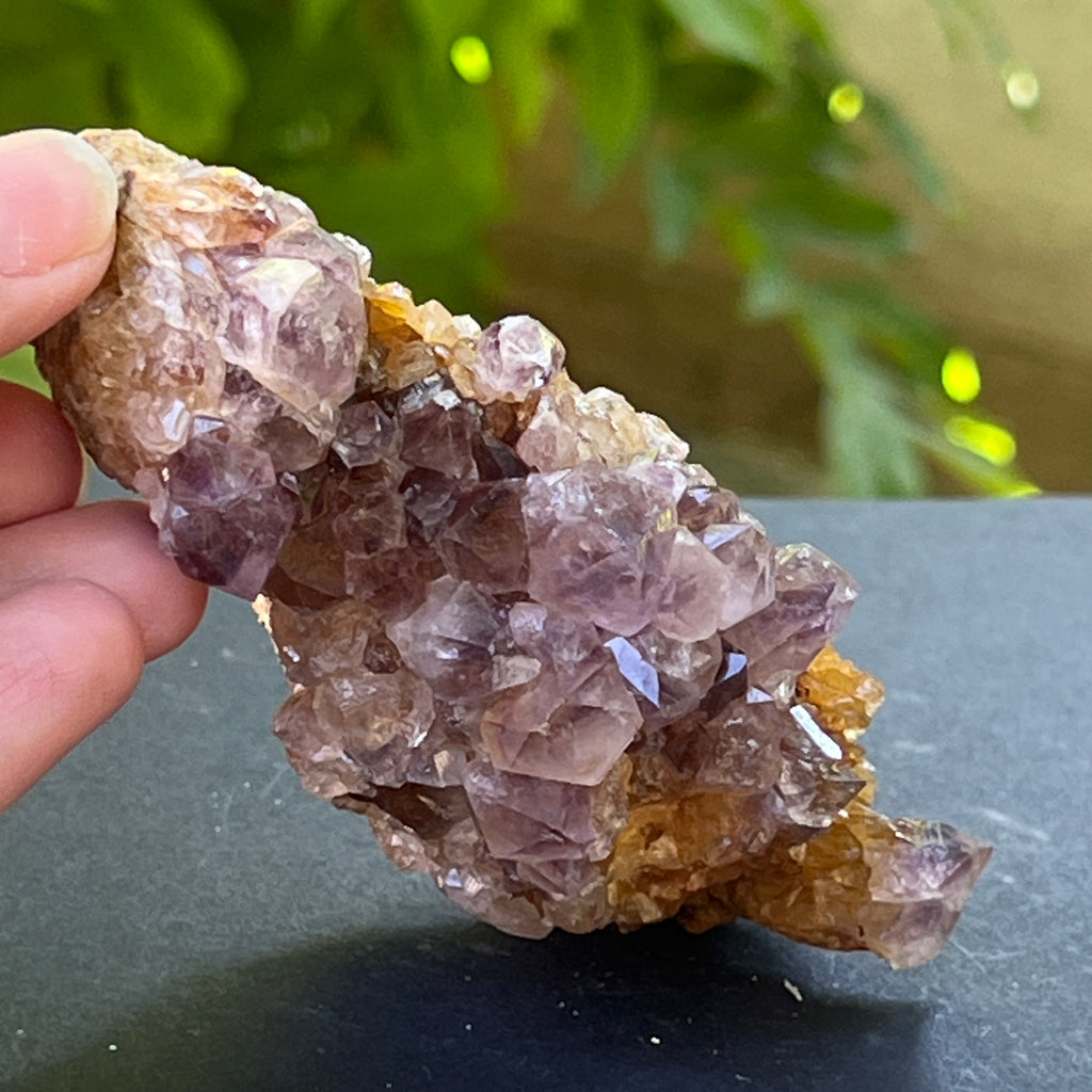 Specimen ametist cuart spirit din Africa de Sud | Model 24, pietre semipretioase - druzy.ro 4 