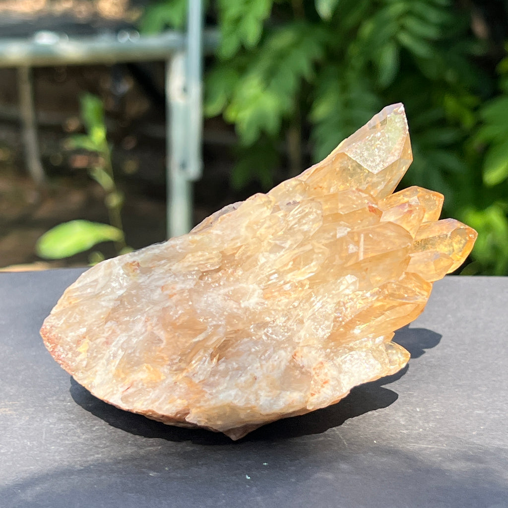 Citrin fumuriu din Congo – specimen natural, netratat | Model 2, pietre semipretioase - druzy.ro 4 