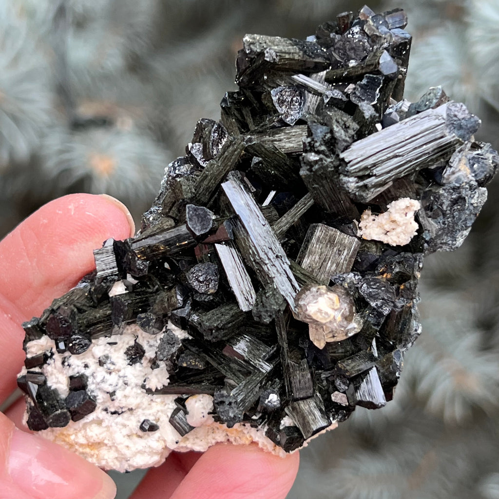 Cluster turmalina neagra model 5 din Erongo, Namibia, druzy.ro, cristale 1