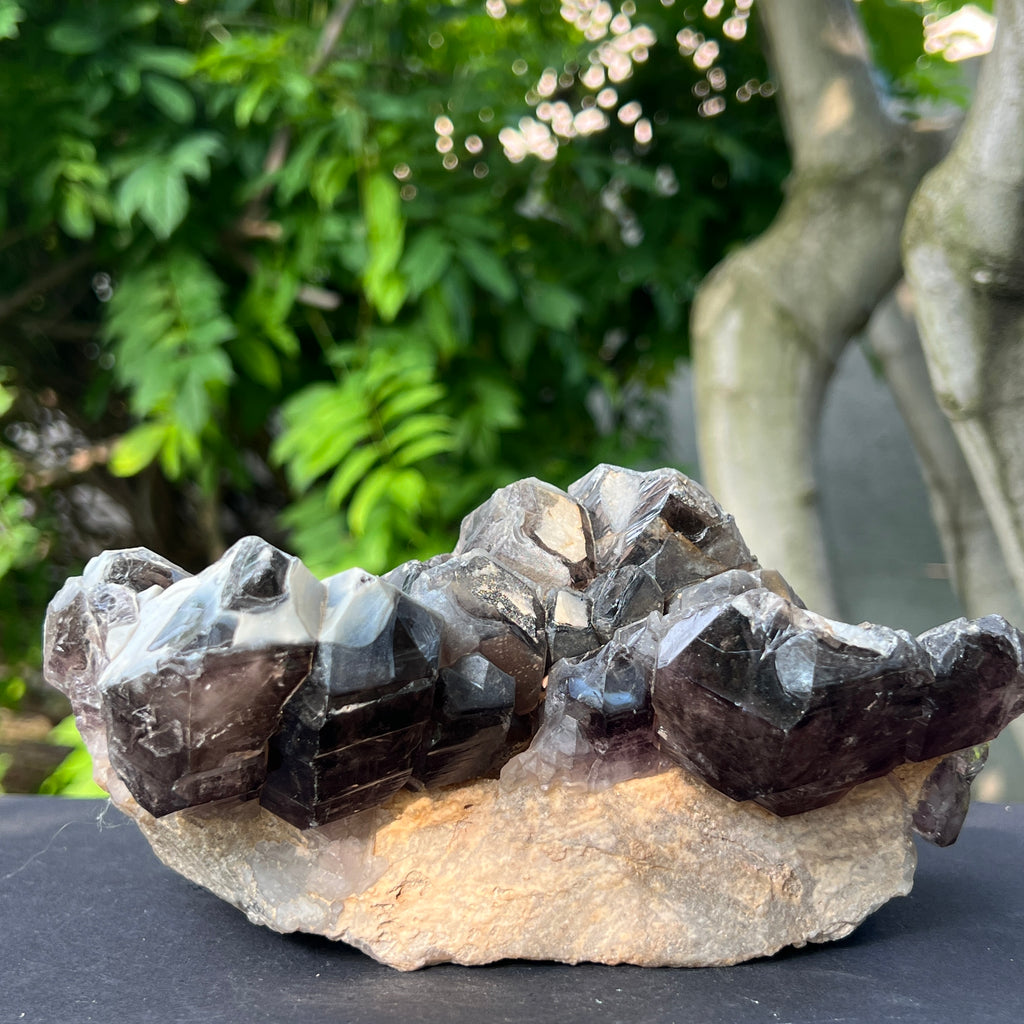 Specimen cluster cuart fumuriu m2, pietre semipretioase - druzy.ro 2 
