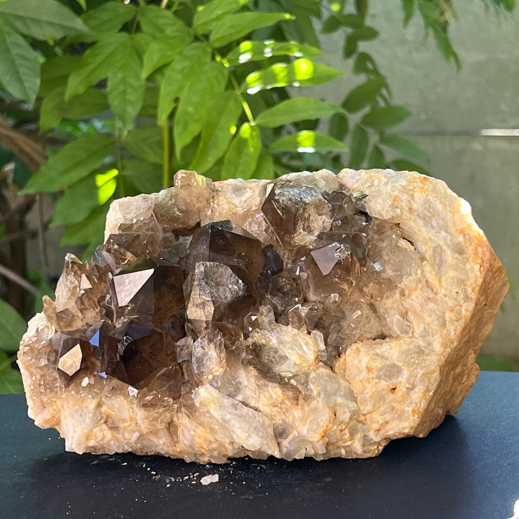 Citrin fumuriu din Congo – specimen natural, netratat | Model 9, pietre semipretioase - druzy.ro 2 