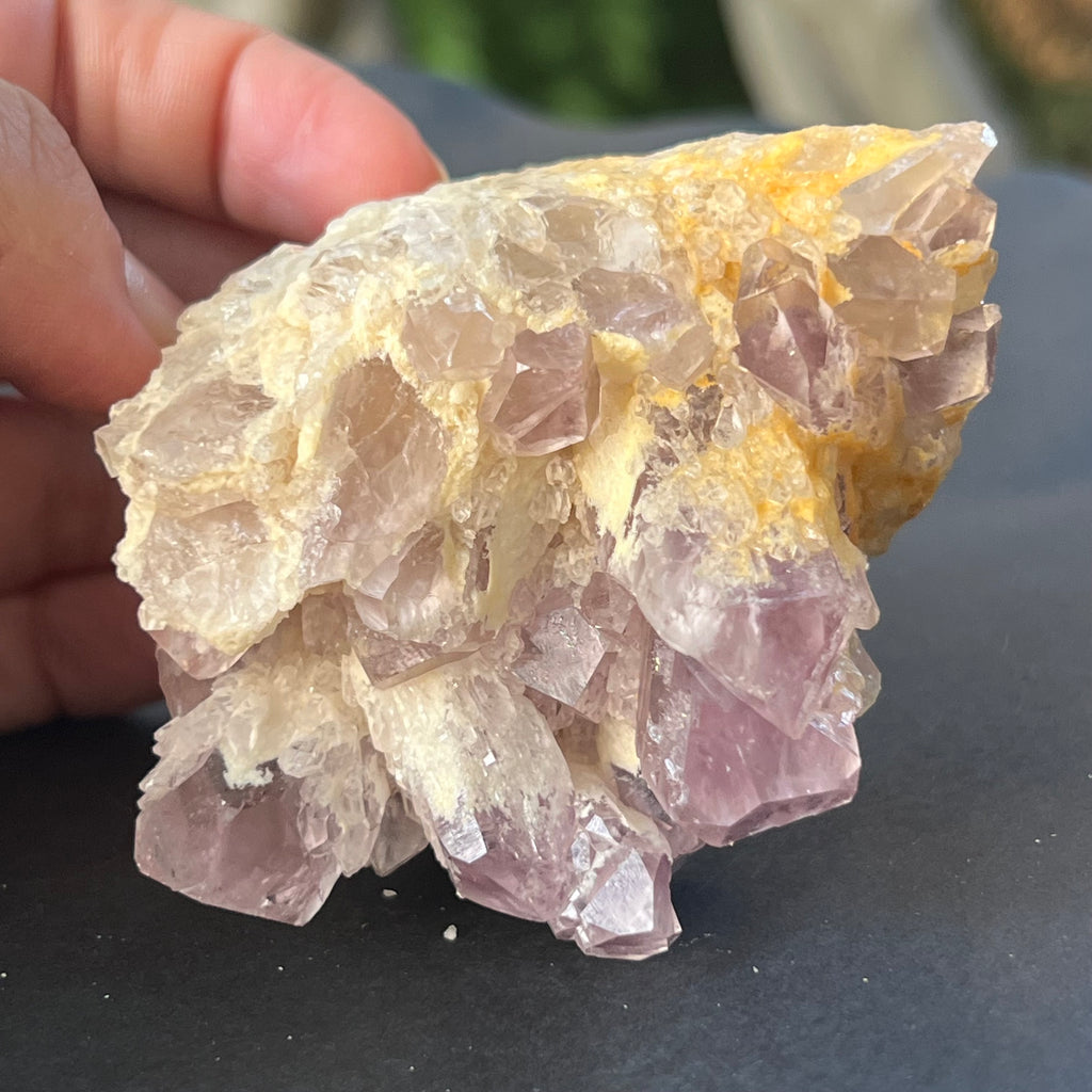 Cluster ametist sweet model 5a/5, din Zambia, pietre semipretioase - druzy.ro 1