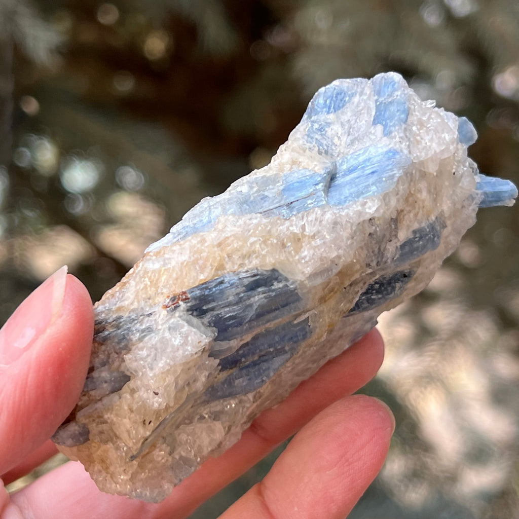Kianit albastru (Cianit) piatra bruta din Zimbabwe model 12, druzy.ro, cristale 2