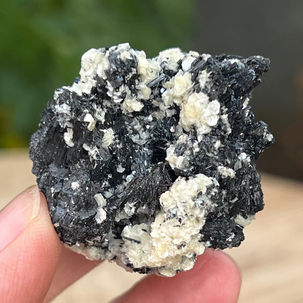 Cluster turmalina neagra cu vermiculita din Erongo m2, pietre semipretioase - druzy.ro 6 