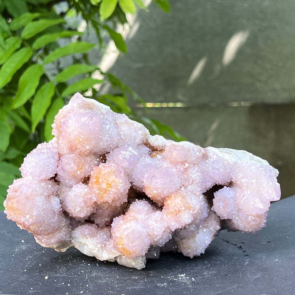 Specimen ametist cuart spirit din Africa de Sud | Model 21, pietre semipretioase - druzy.ro 7 
