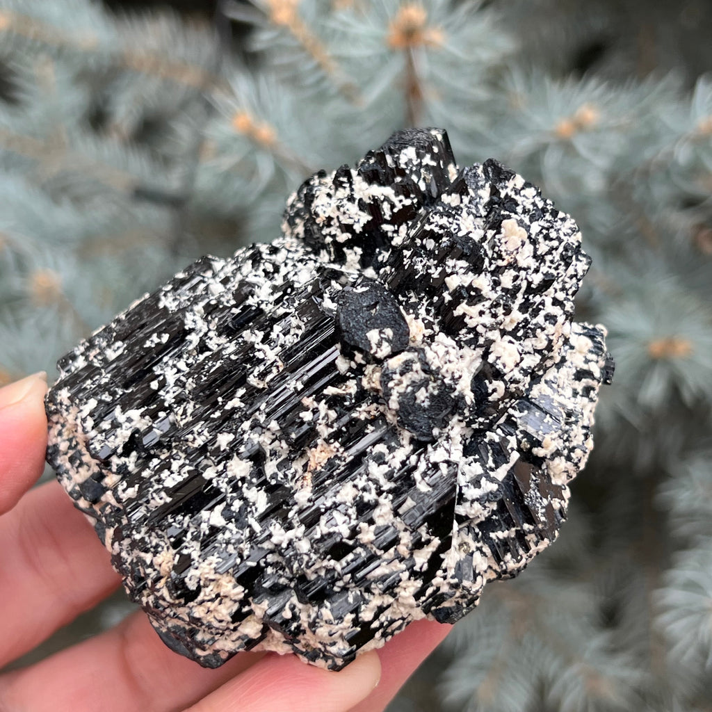 Cluster turmalina neagra model 4 din Erongo, Namibia, druzy.ro, cristale 2