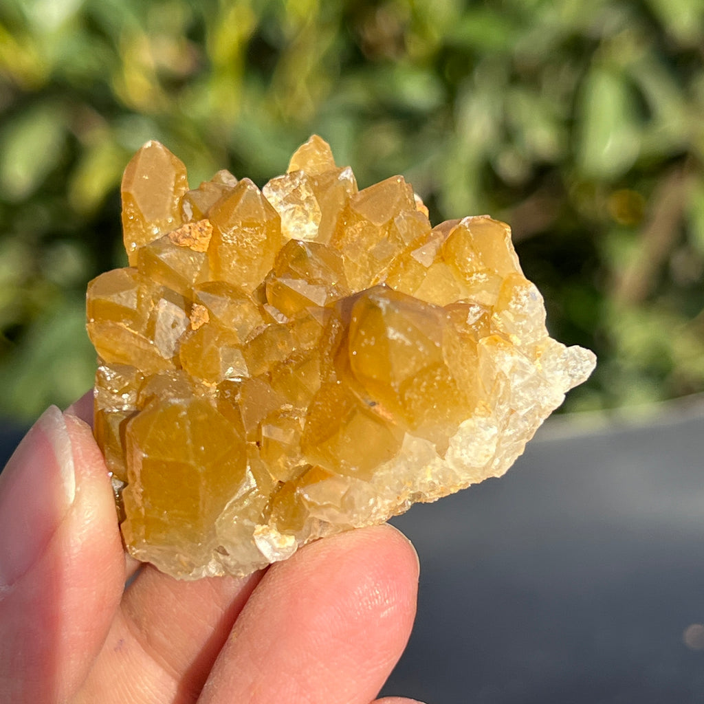 Cluster cuart lamaie Zambia, golden healer model 39, pietre semipretioase - druzy.ro 2 