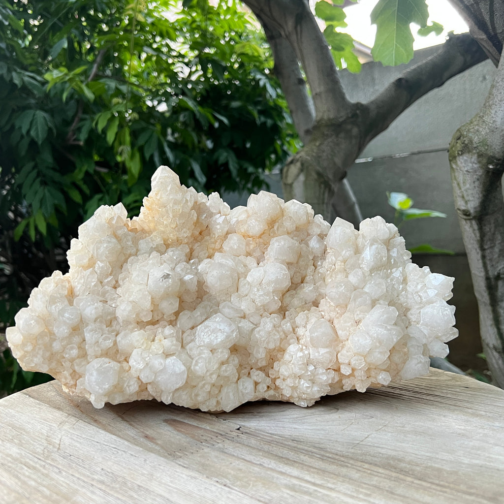 Specimen cuart fantoma, cuart ananas din Madagascar model XL2, pietre semipretioase - druzy.ro 7 