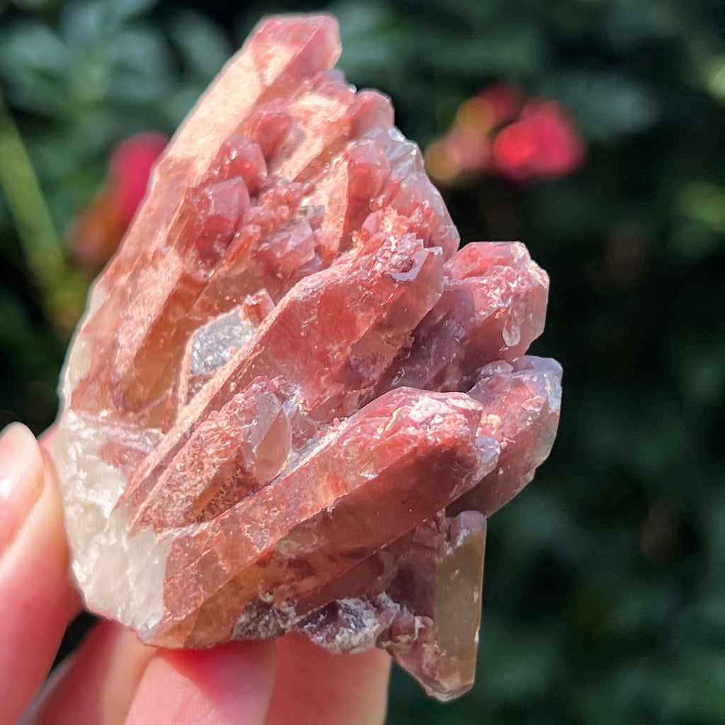 Cluster rosu hematoid din Zimbabwe model 8, pietre semipretioase - druzy.ro 1
