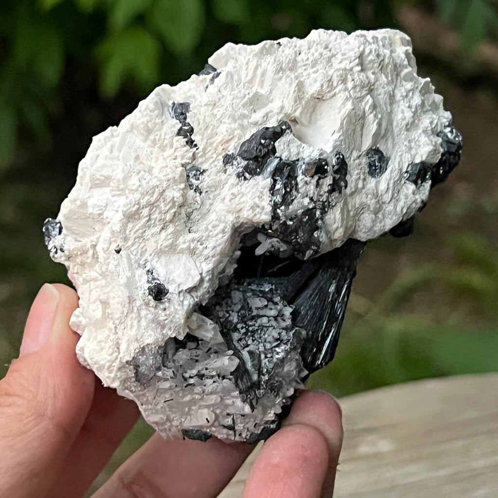 Cluster turmalina neagra model 9 din Erongo, Namibia, pietre semipretioase - druzy.ro 7 