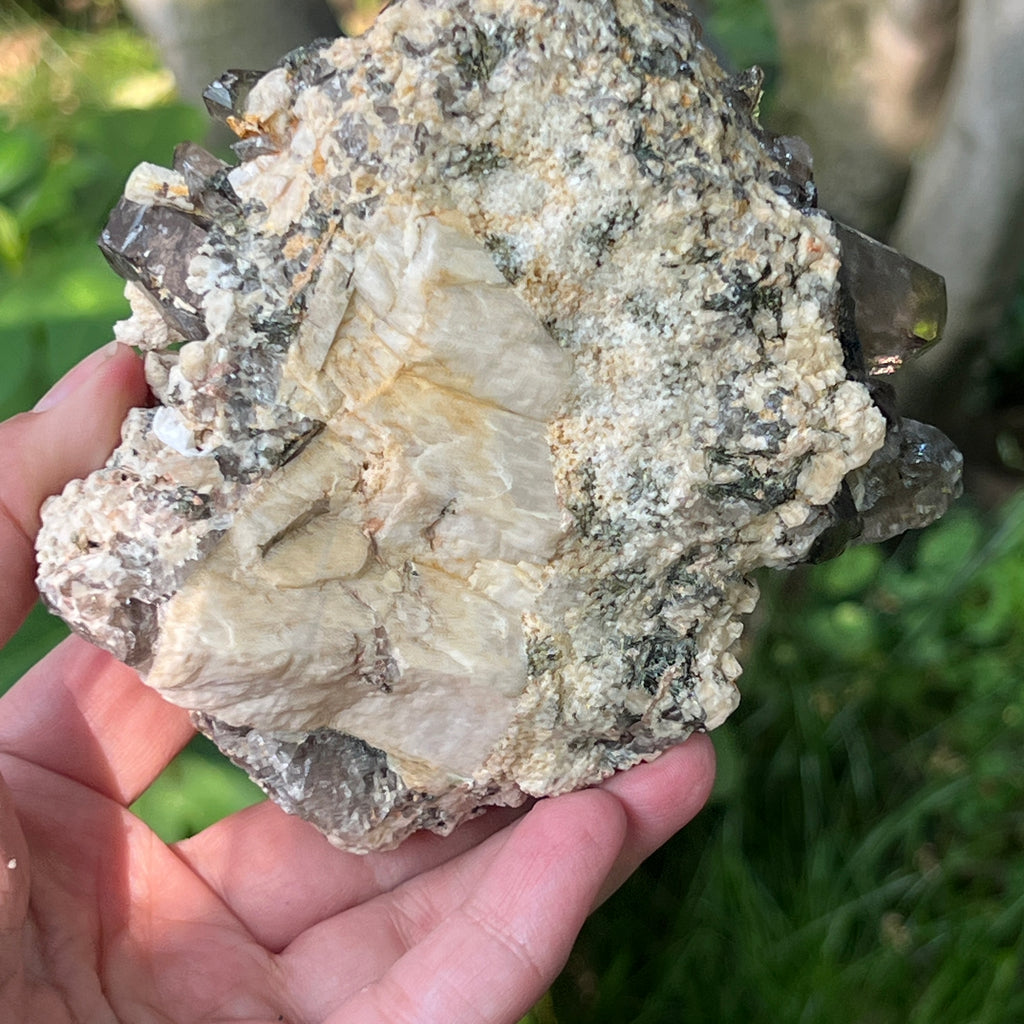 Specimen cluster cuart fumuriu m5, pietre semipretioase - druzy.ro 6 