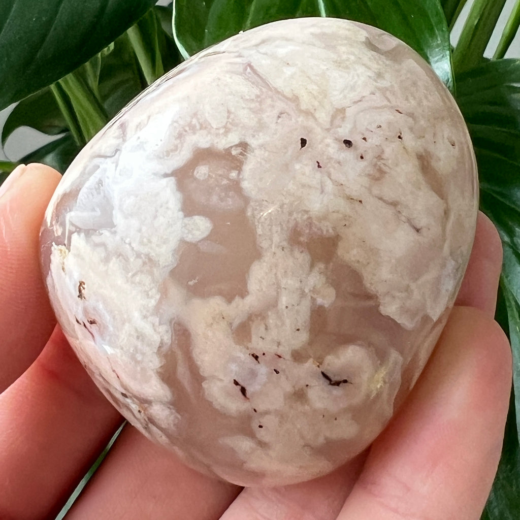 Palmstone agat coral floare rosu m9, pietre semipretioase - druzy.ro 2 