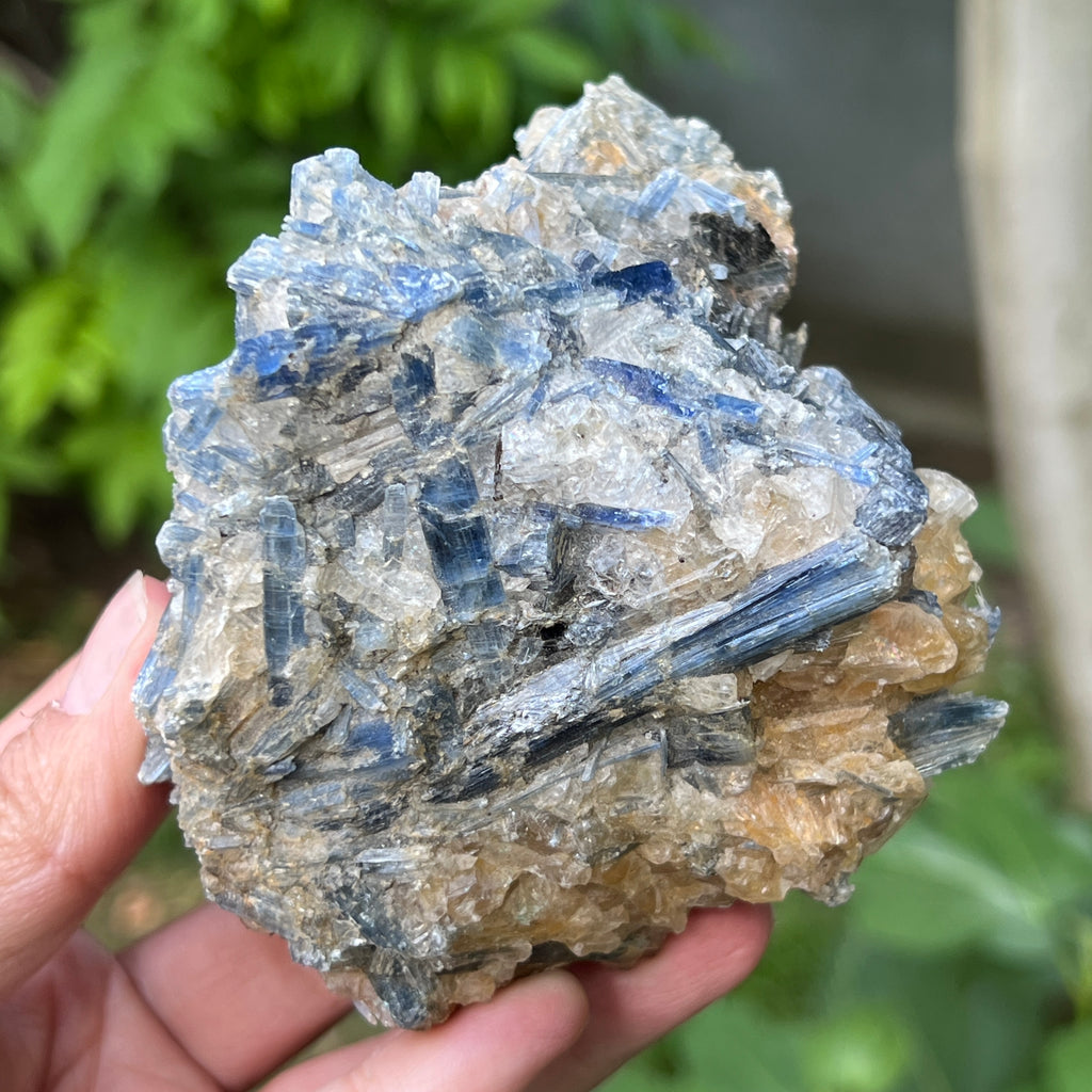 Kianit albastru (Cianit) piatra bruta din Zimbabwe model 15, pietre semipretioase - druzy.ro 4 