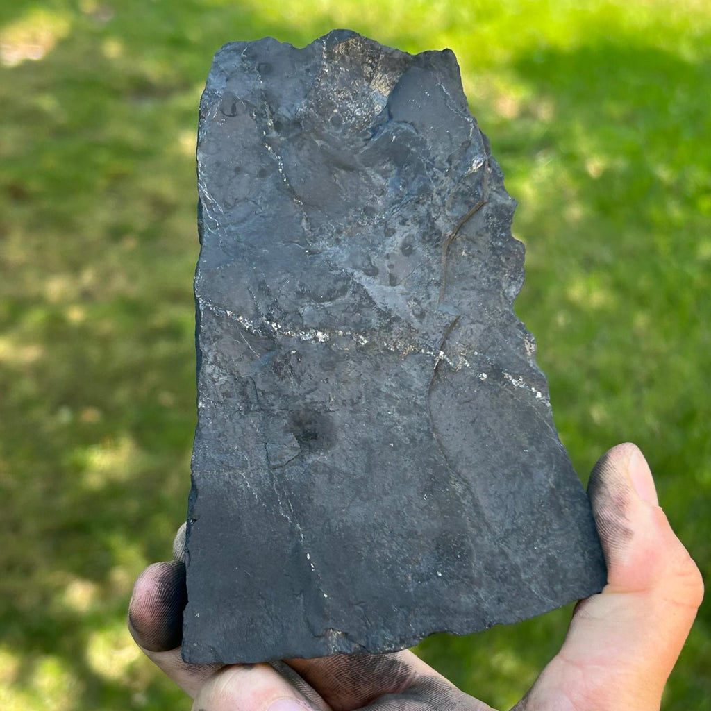 Shungit piatra bruta XXL model 9, pietre semipretioase - druzy.ro 1 