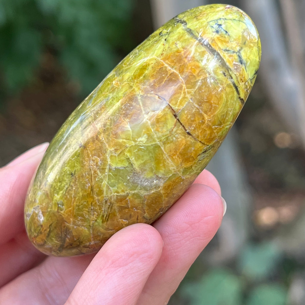 Opal verde palmstone m13, pietre semipretioase - druzy.ro 4 