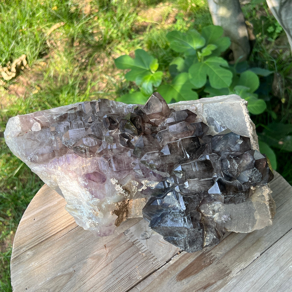 Specimen cluster cuart fumuriu mina Brandberg m8, pietre semipretioase - druzy.ro 4 