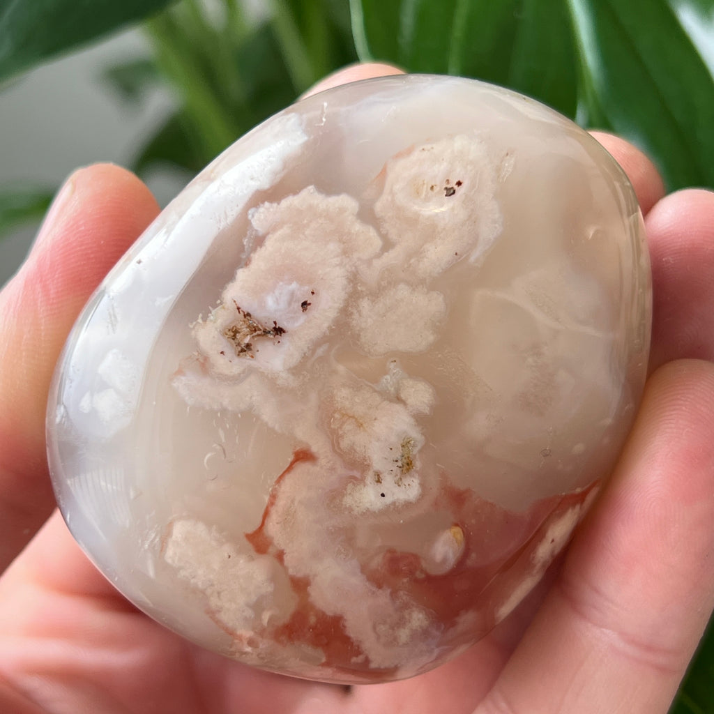 Palmstone agat coral floare rosu m9, pietre semipretioase - druzy.ro 1 