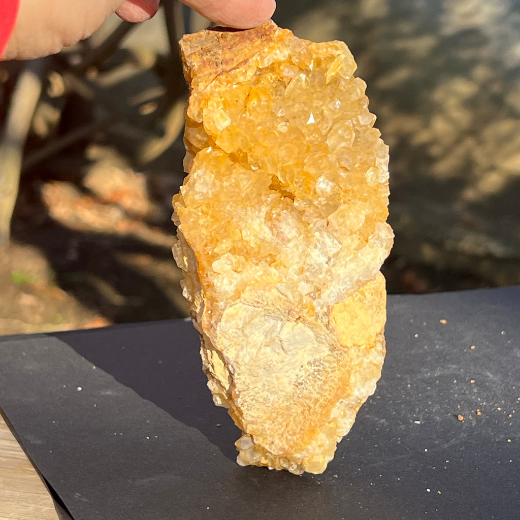 Cluster cuart lamaie, golden healer 4A/4, Zambia, druzy.ro, cristale 1
