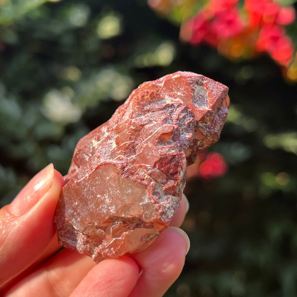 Cluster rosu hematoid din Zimbabwe model 1, pietre semipretioase - druzy.ro 5
