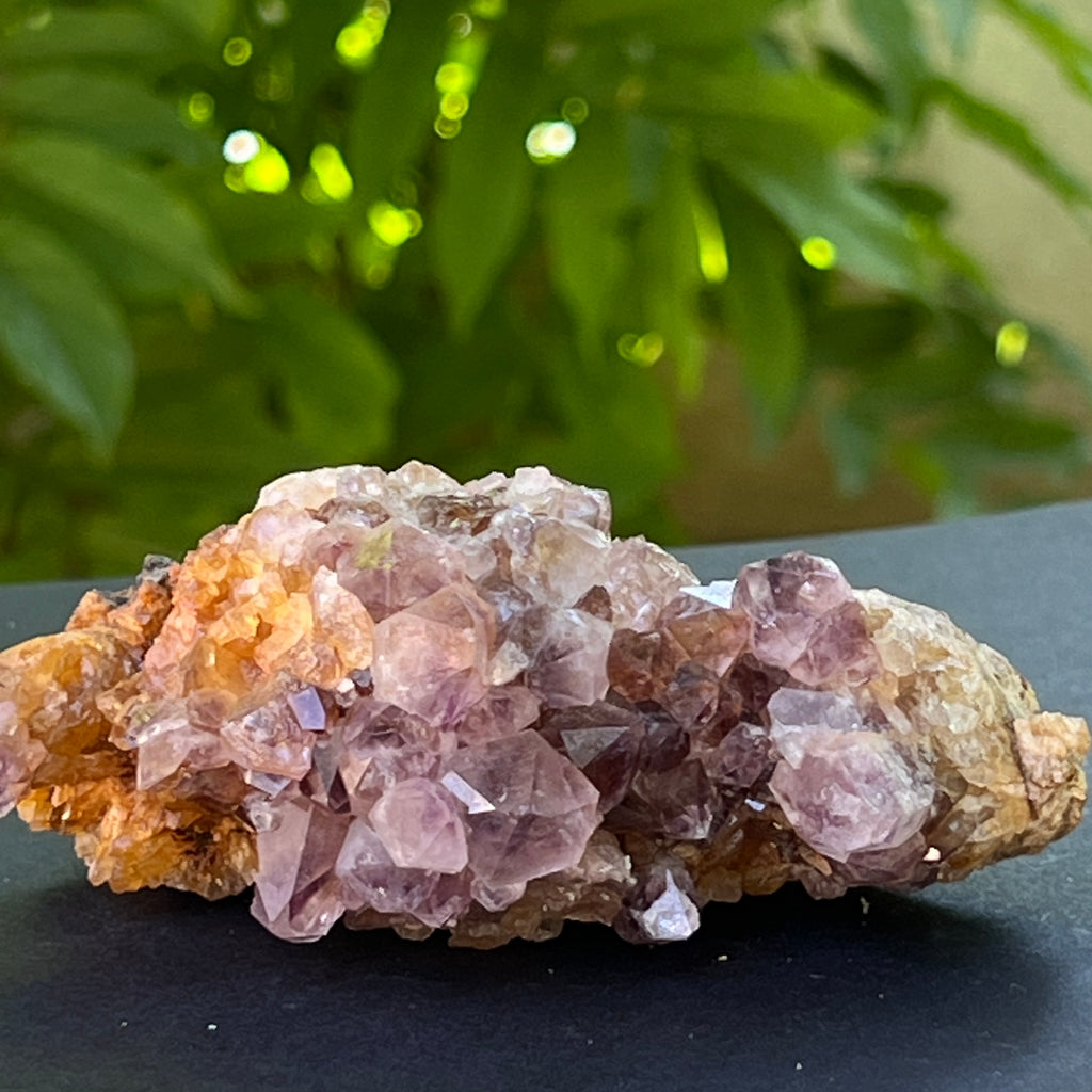 Specimen ametist cuart spirit din Africa de Sud | Model 24, pietre semipretioase - druzy.ro 2 