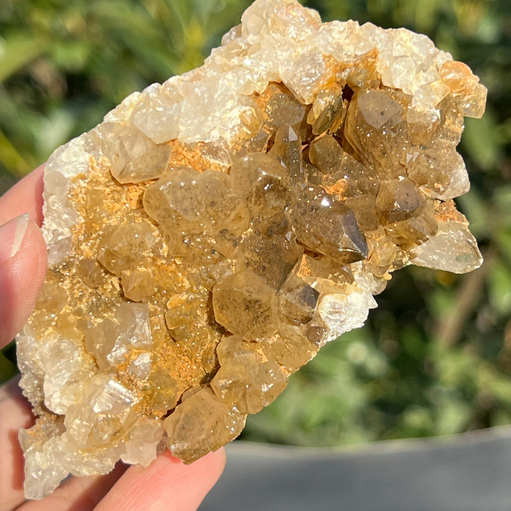 Cluster cuart lamaie Zambia, golden healer model 40, pietre semipretioase - druzy.ro 2 