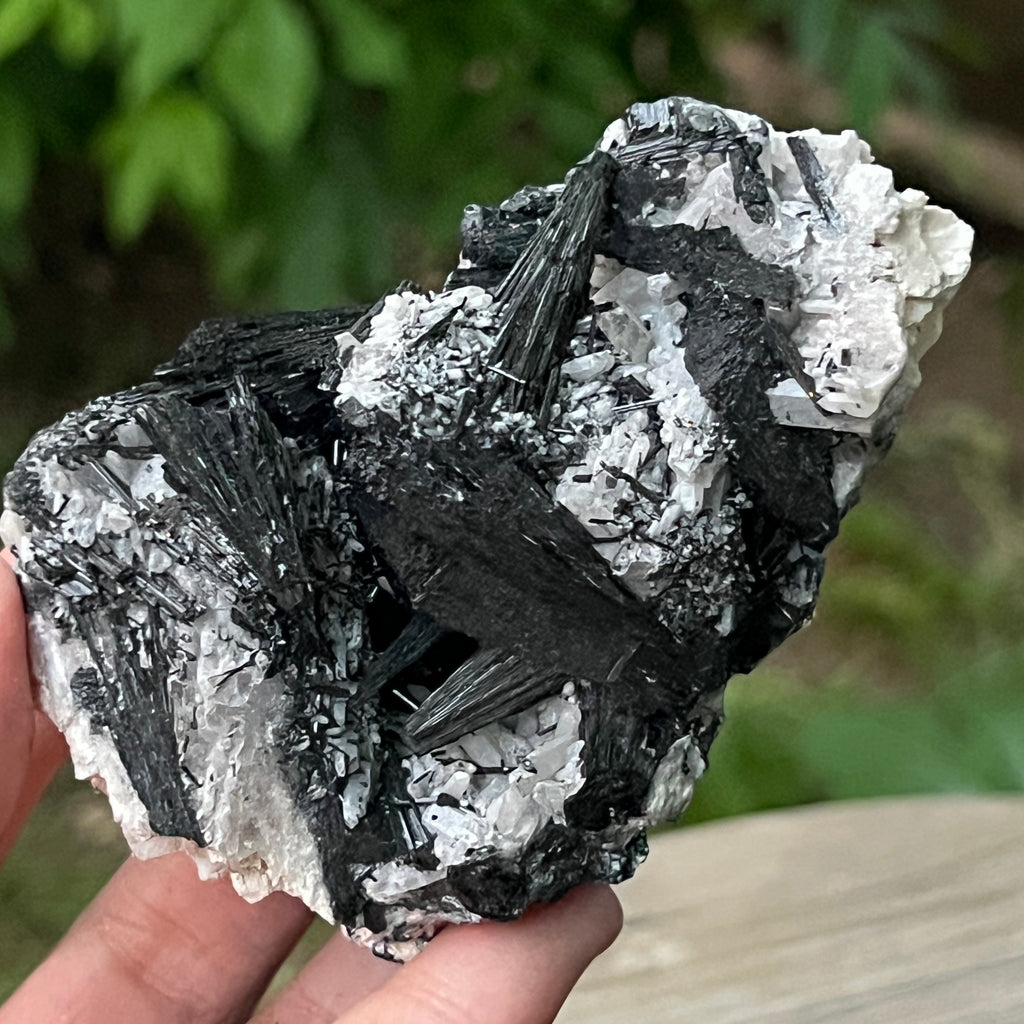 Cluster turmalina neagra model 9 din Erongo, Namibia, pietre semipretioase - druzy.ro 2 