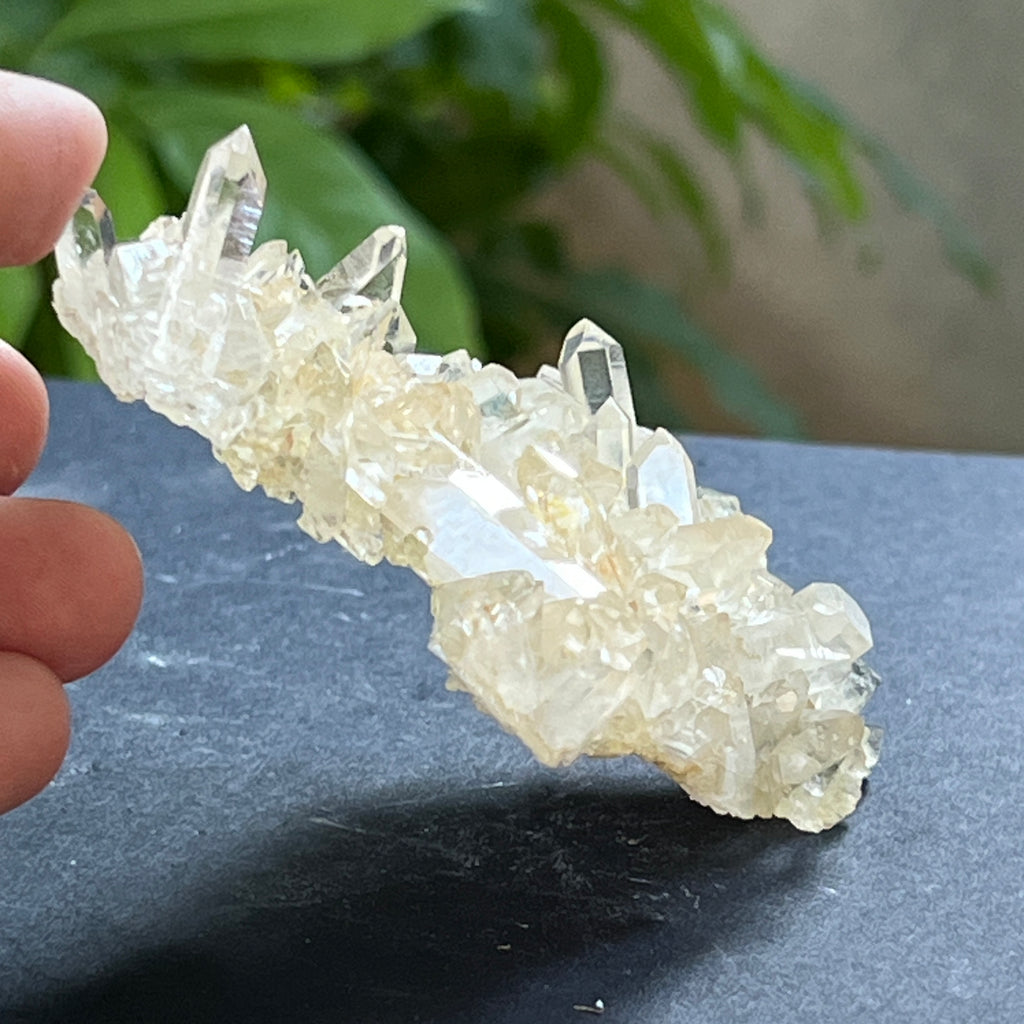 Cluster cuart incolor, floare de mina, cristal de stanca Zimbabwe m8, pietre semipretioase - druzy.ro 2 