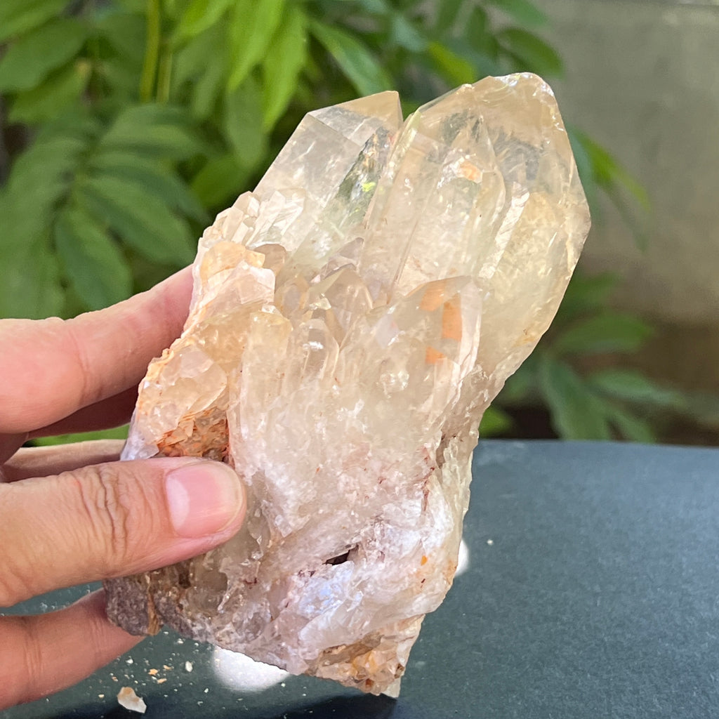 Citrin din Congo – specimen natural, netratat | Model 10, pietre semipretioase - druzy.ro 5 
