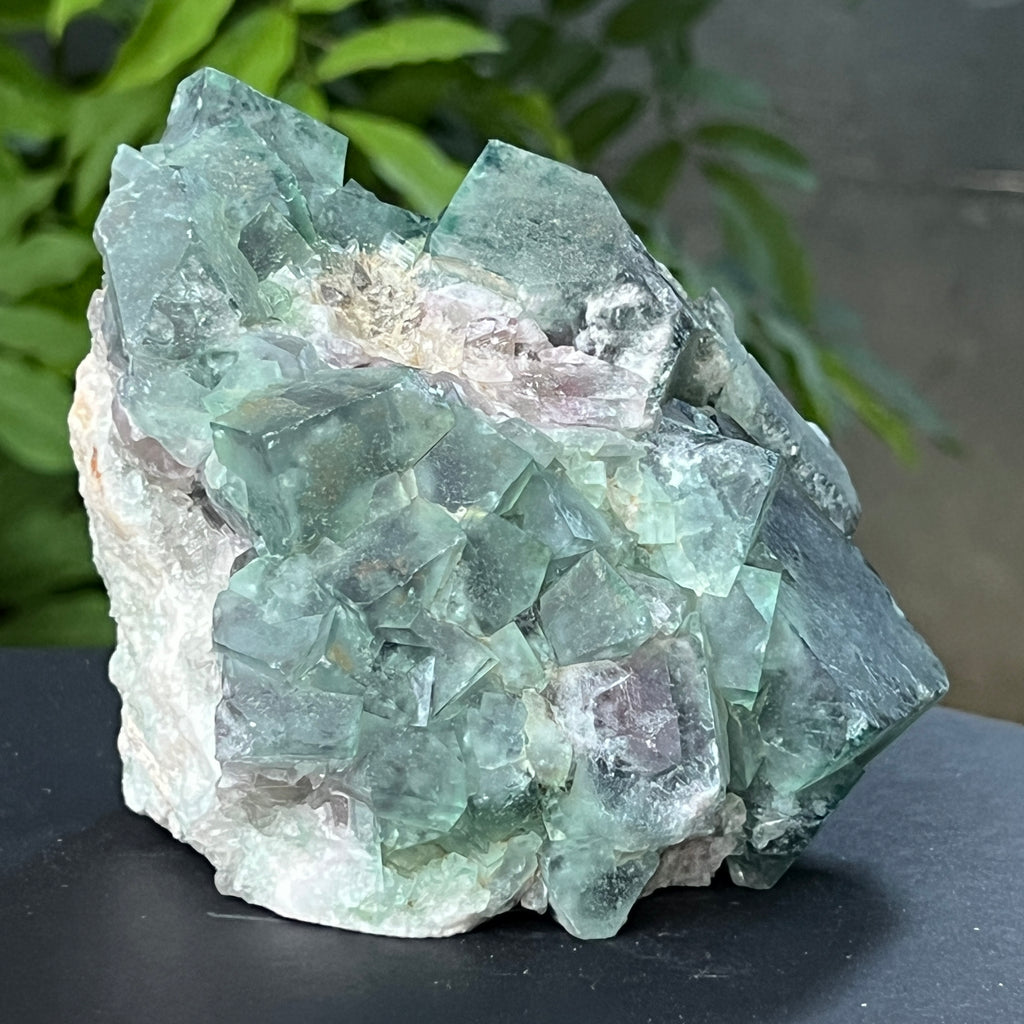 Specimen fluorit cubic model 3, pietre semipretioase - druzy.ro 4 