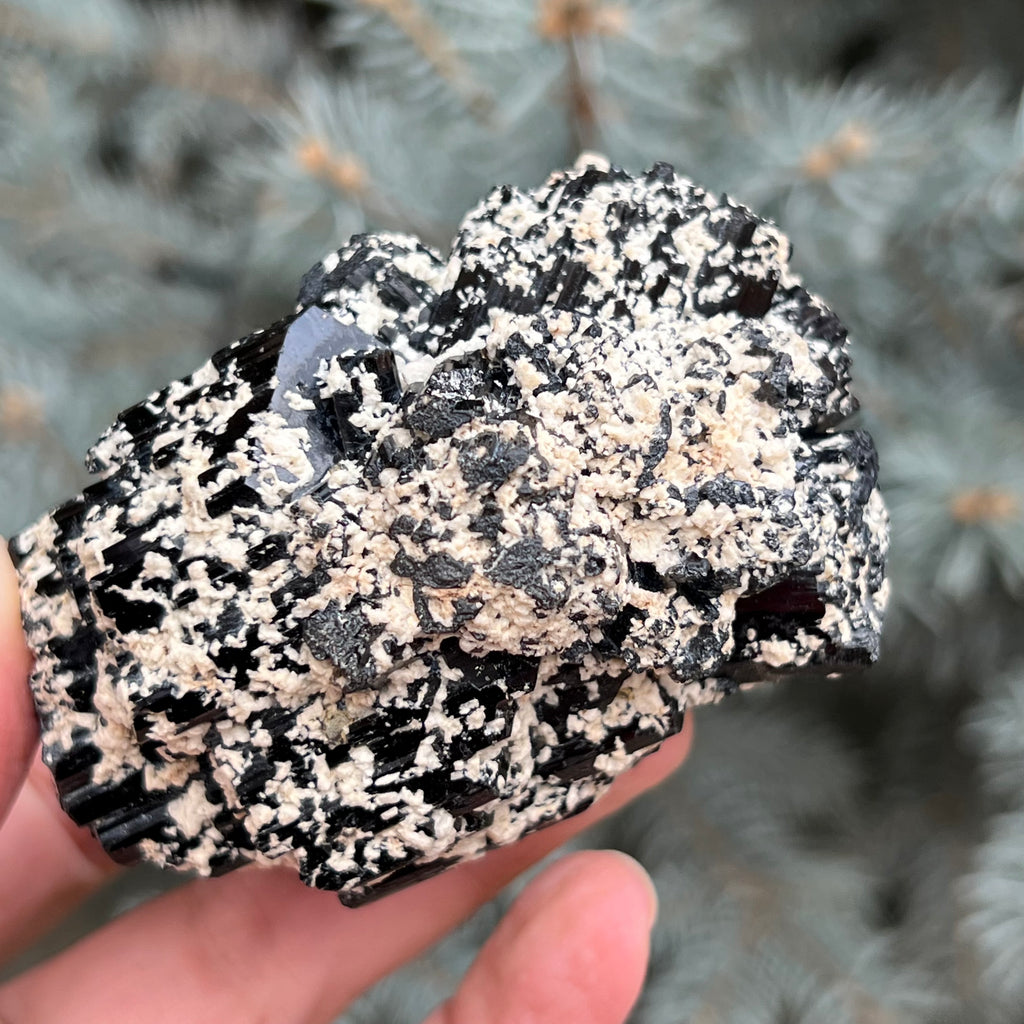 Cluster turmalina neagra model 4 din Erongo, Namibia, druzy.ro, cristale 3
