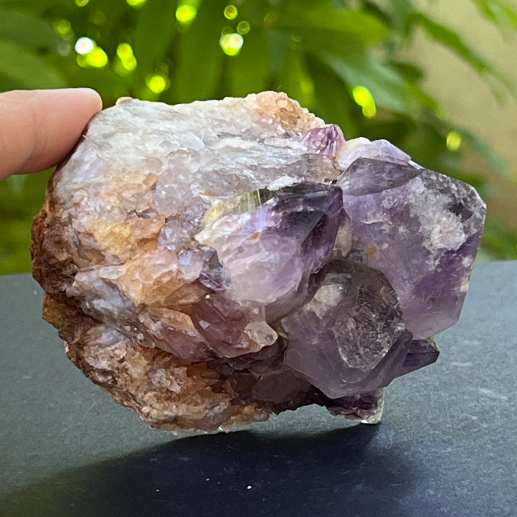 Specimen ametist cuart spirit din Africa de Sud | Model 26, pietre semipretioase - druzy.ro 5 