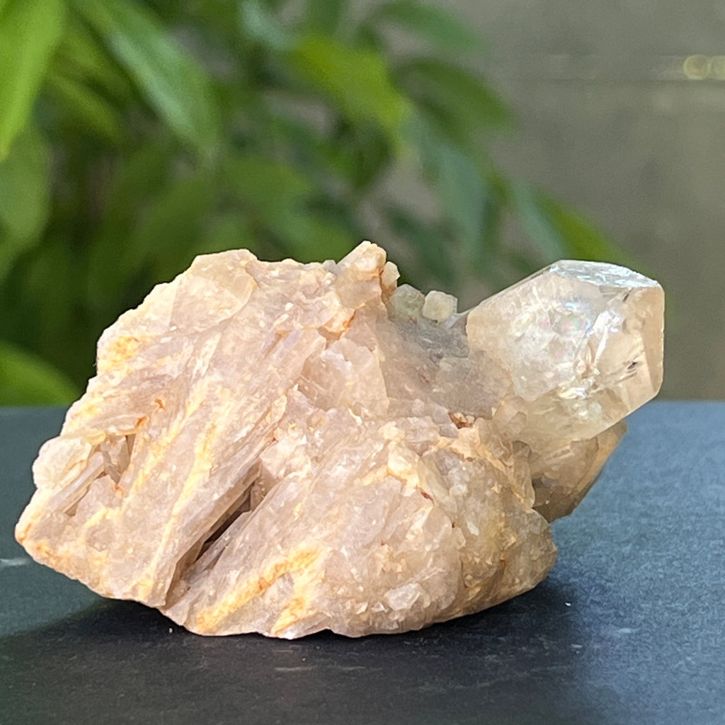 Citrin din Congo – specimen natural, netratat | Model 13, pietre semipretioase - druzy.ro 3 