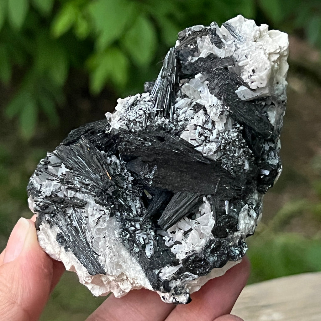 Cluster turmalina neagra model 9 din Erongo, Namibia, pietre semipretioase - druzy.ro 11 