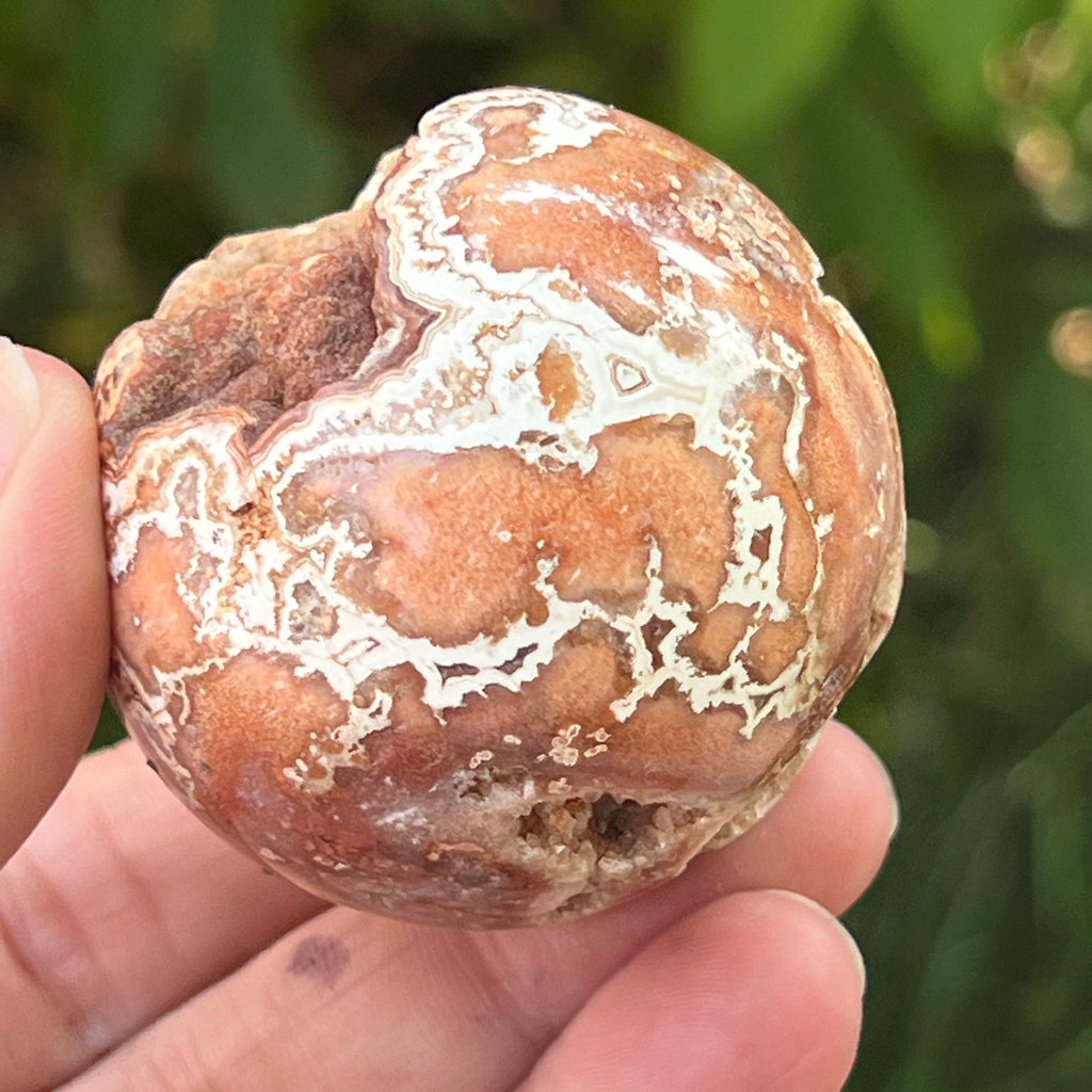 Sfera agat Crazy Lace | Model 4, pietre semipretioase - druzy.ro 4 