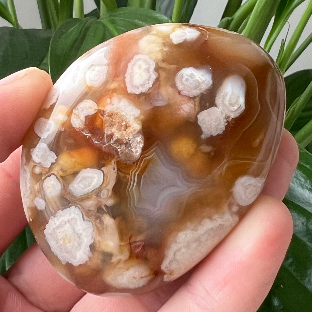 Palmstone agat coral floare rosu m7, pietre semipretioase - druzy.ro 1 