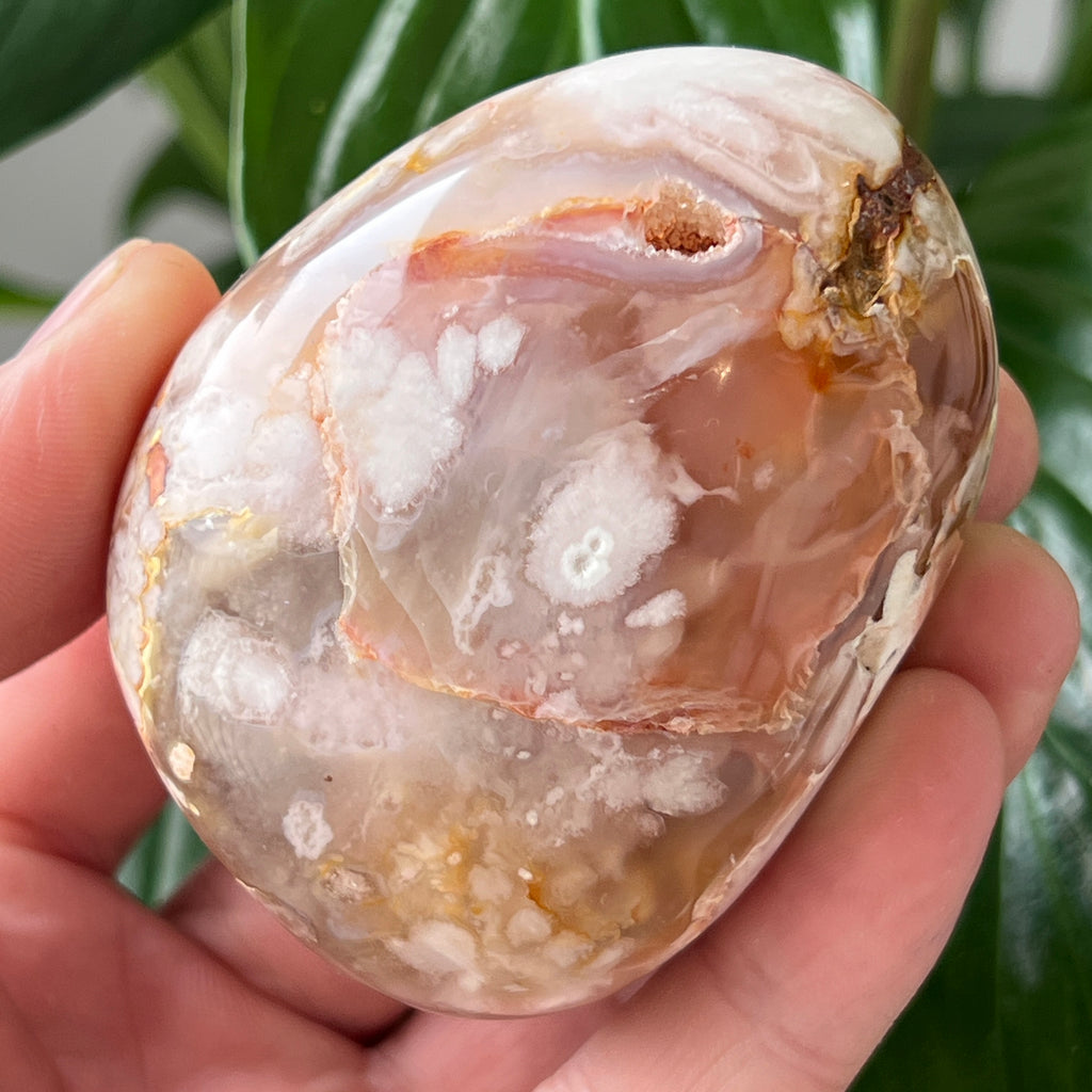 Palmstone agat coral floare rosu m15, pietre semipretioase - druzy.ro 2 