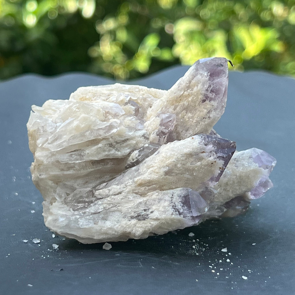 Cluster ametist sweet model 5a/8, din Zambia, pietre semipretioase - druzy.ro 3