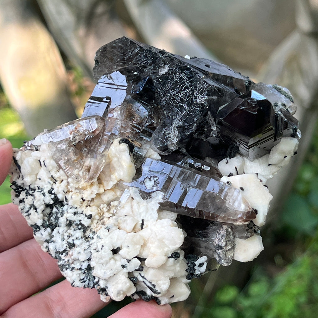 Specimen cluster cuart fumuriu m4, pietre semipretioase - druzy.ro 4 