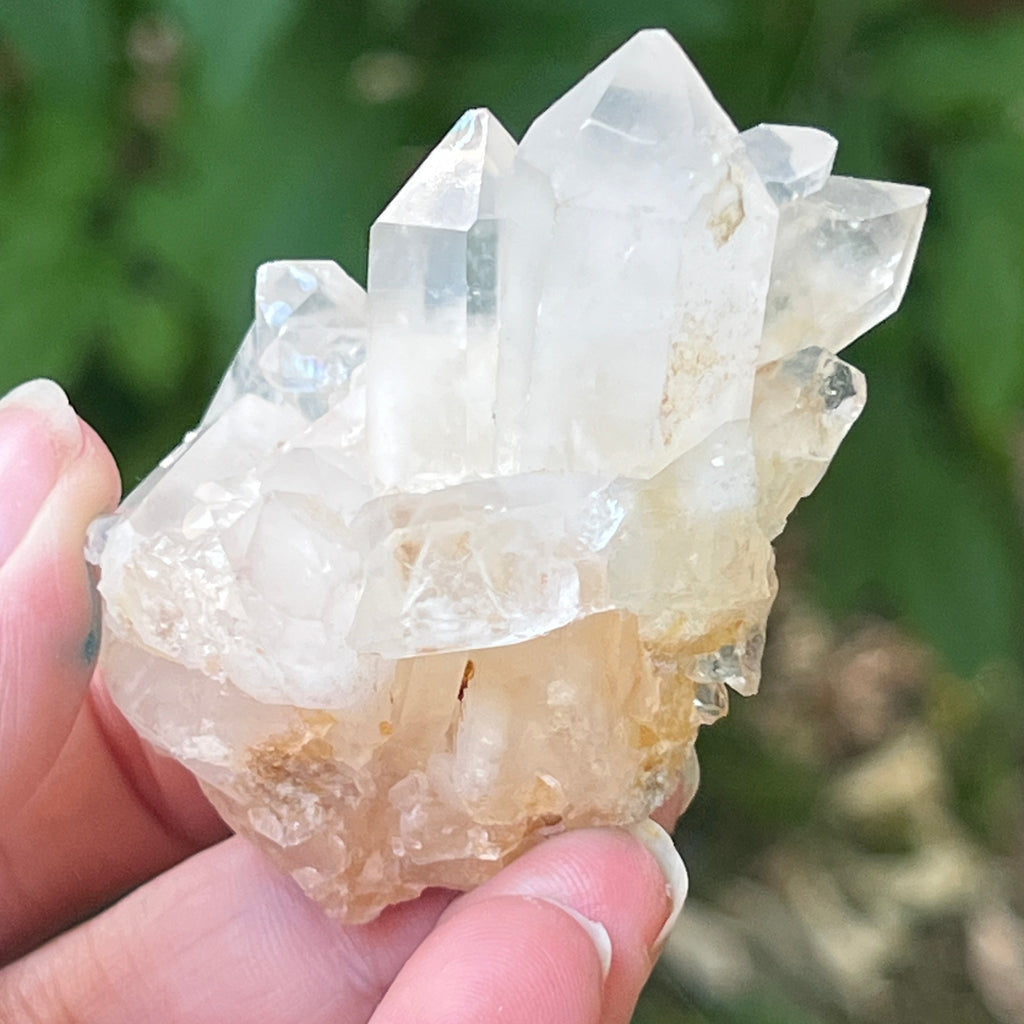 Cluster cuart incolor, floare de mina m20, pietre semipretioase - druzy.ro 1 