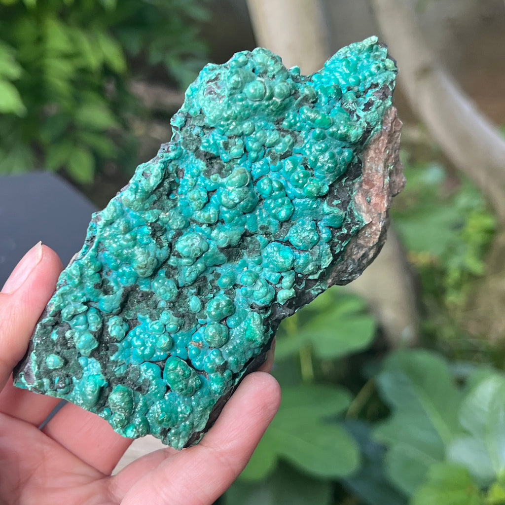 Cluster crisocola botrioidală model 4 din Congo, pietre semipretioase - druzy.ro 1 